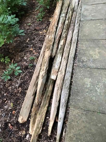 Photo of free Wood for outdoor firepit (Upper Saddle River NJ 07458) #2