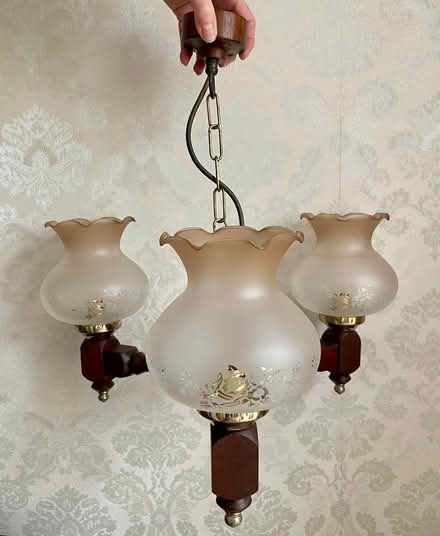 Photo of free Ceiling Lights x2 (Bollington SK10) #1