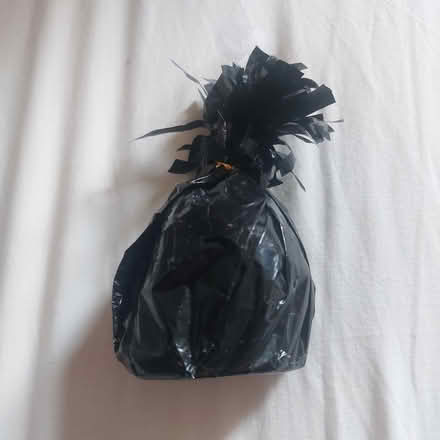 Photo of free Balloon weight (Beckenham near Clock House) #1