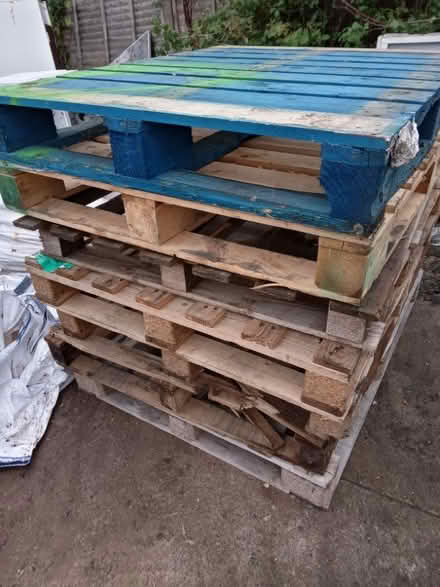 Photo of free Pallets (Taunton) #1