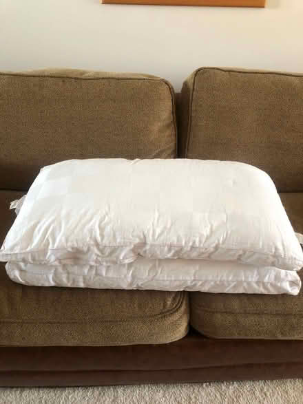 Photo of free King Size Pillows St. Albans (St Albans AL3) #2