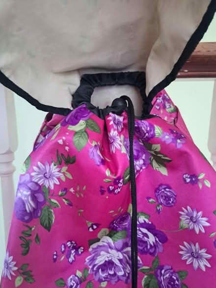 Photo of free Large Shopping Trolley Bag (Eastbourne Town Centre) #2