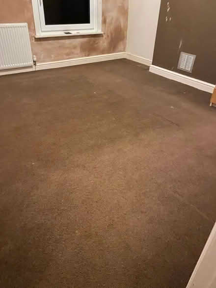 Photo of free Bedroom carpet (Adlington PR7) #3