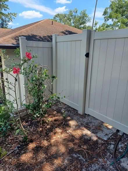 Photo of Trellis for My Jasmine Vine (Lake St. George area) #2