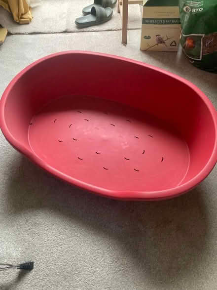 Photo of free Dog basket (City Centre NR3) #1