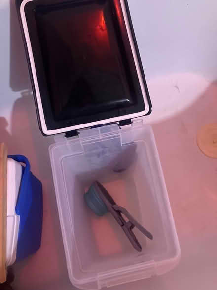 Photo of free Lidded container (used for kibble) (Jack London Square) #1