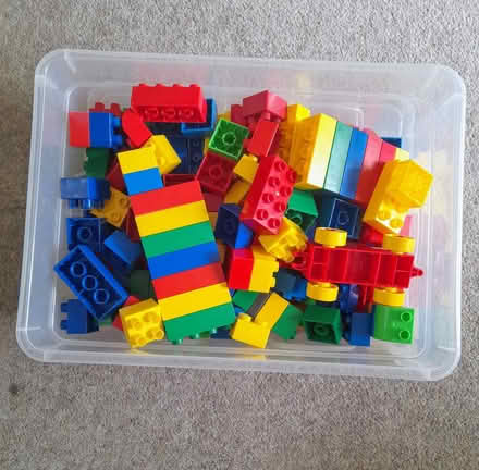 Photo of free duplo bricks (Burwell CB25) #1