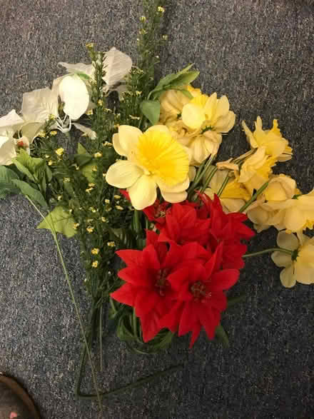 Photo of free flowers artificial (Sockbridge CA10) #1