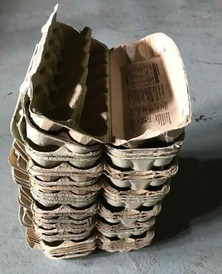 Photo of free Egg boxes (Kendal LA9) #1