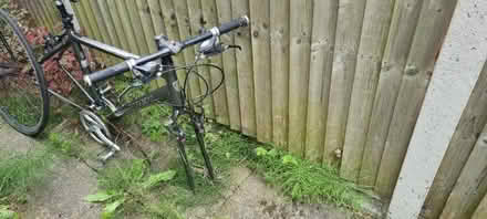 Photo of free Bike frame (Lambeth) #1