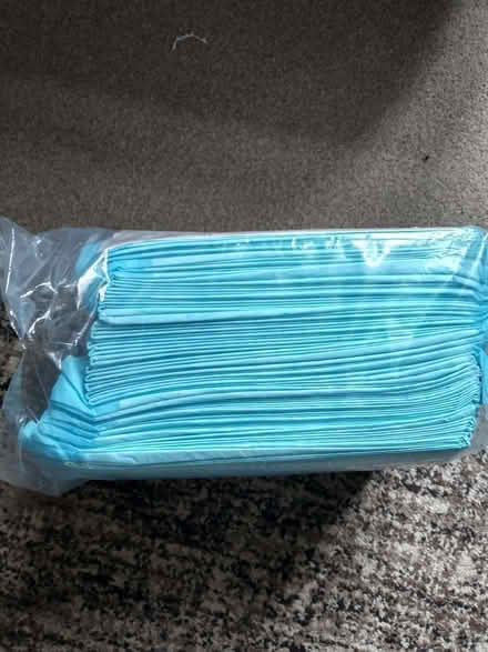 Photo of free Puppy Training Pads (Rayleigh SS6) #2