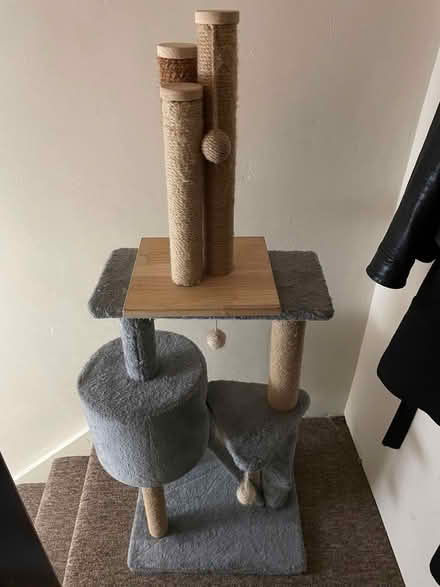 Photo of free Cat tree + scratcher (Sion Hill) #1