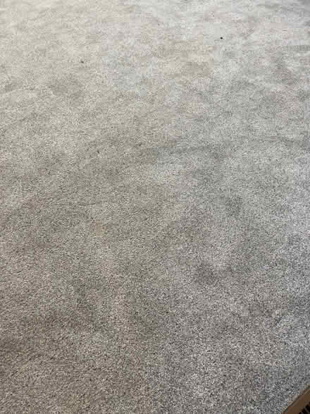Photo of free Roll of grey carpet (Bridgewater NJ) #3