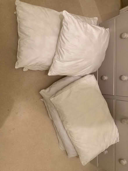 Photo of free Old pillows (Henley in Arden) #1