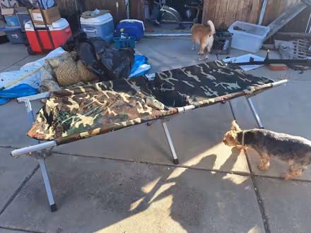 Photo of free Cots (2 of them) (Longview, Antioch 94509) #1
