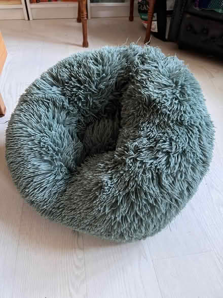 Photo of free Fluffy cat bed (Gamlingay SG19) #1