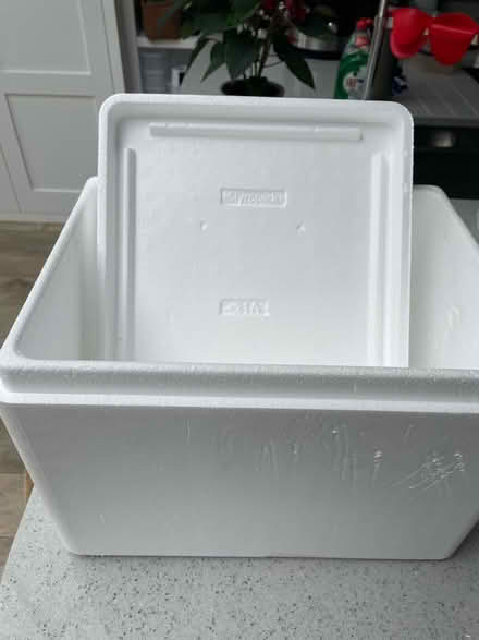 Photo of free Polystyrene box (Croydon CR0) #2