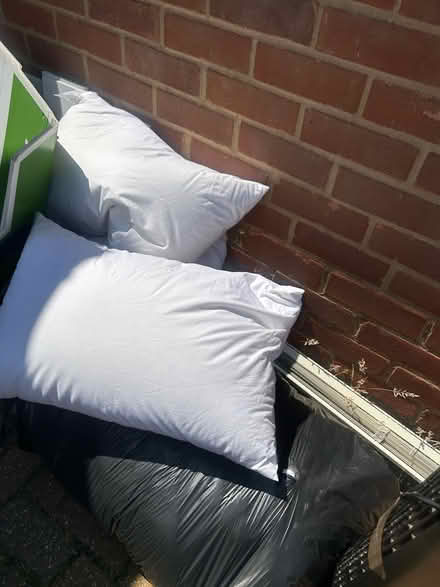Photo of free Duvet and pillows (ME2 Strood) #1