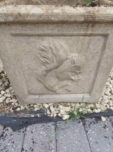 Photo of free Plant pot (Horsforth LS18) #1