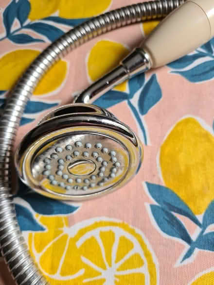 Photo of free Shower head (Wood green) #3