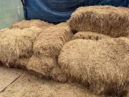 Photo of free 12 bales of dry hay (Bettws-y-crwyn LD7) #1
