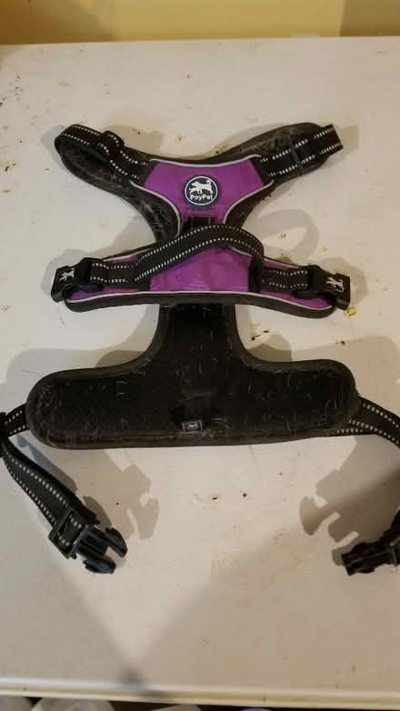 Photo of free Dog harness (Farmington @ 11 Mile) #1