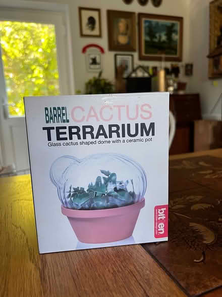 Photo of free Glass terrarium (Gamlingay SG19) #1