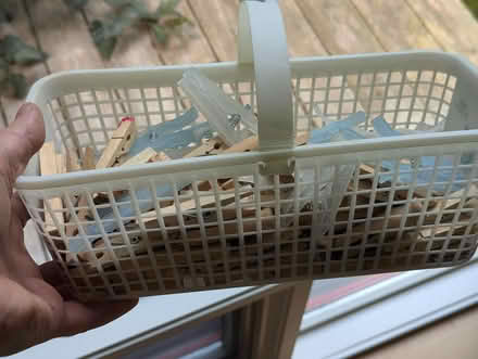 Photo of free Clothespins (Champlain Park) #2