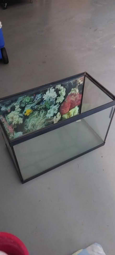 Photo of free Aquarium (Greely) #1