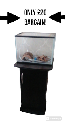 Photo of free Small Fish Tank with stand/cupboard (Cross Hills nr Keighley BD20) #1