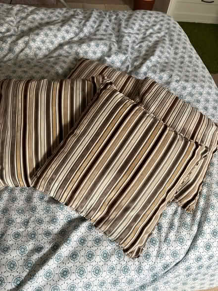 Photo of free Cushions (Penistone S36) #1