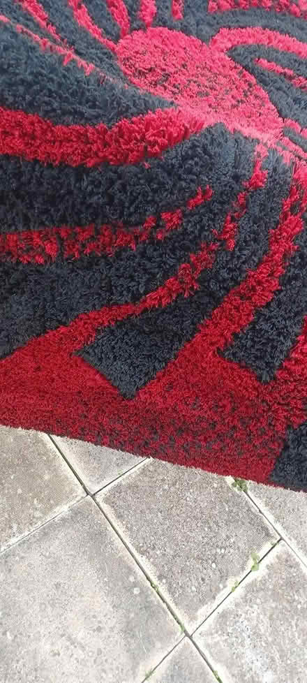 Photo of free Massive rug (Thornhill WF12) #3