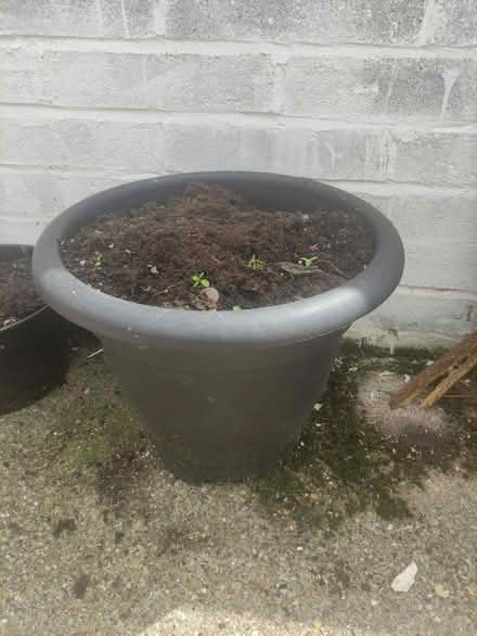 Photo of free large pot (Grangetown SR2) #1