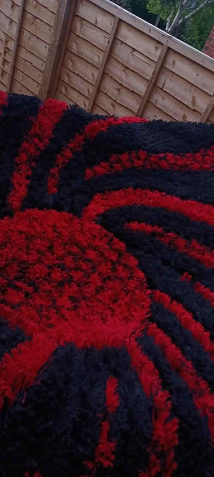 Photo of free Massive rug (Thornhill WF12) #1