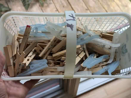 Photo of free Clothespins (Champlain Park) #1