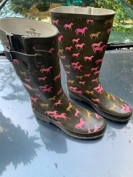 Photo of free Rubber rain boots (NE Bellevue) #1
