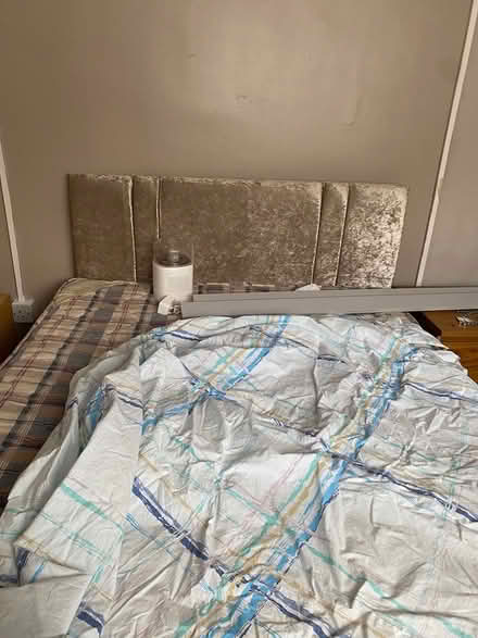 Photo of free Double bed with mattress (Croydon) #3