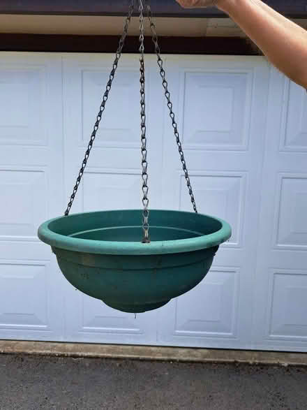 Photo of free Green Hanging Baskets. 14" Diameter (Darley Hillside DE4) #1