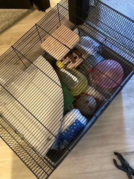 Photo of free Hamster cage (Eltham SE9) #1