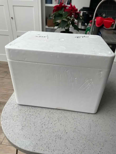 Photo of free Polystyrene box (Croydon CR0) #1