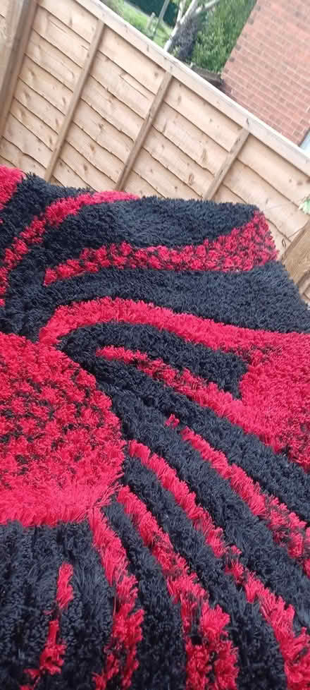 Photo of free Massive rug (Thornhill WF12) #2