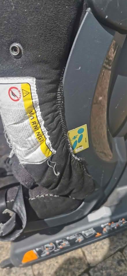 Photo of free Child car seat (Bear Flat) #2