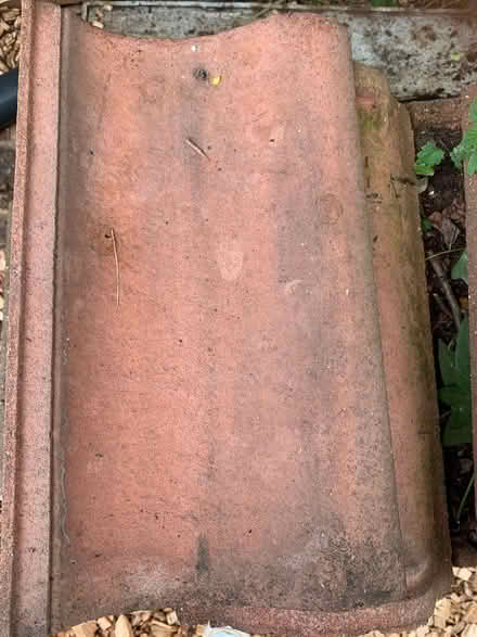 Photo of free Roof Tiles (Newport HU15) #3
