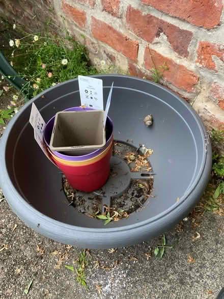 Photo of free Plant pot (DE56 1DJ Belper) #1