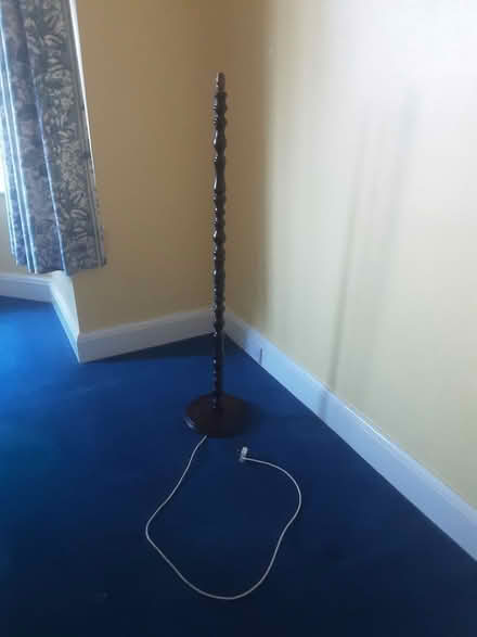 Photo of free Standard lamp (Hove BN3) #2