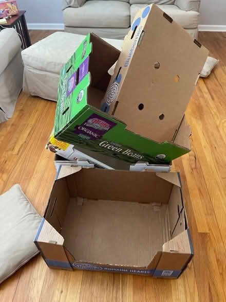 Photo of free Boxes (Bridgewater NJ) #1
