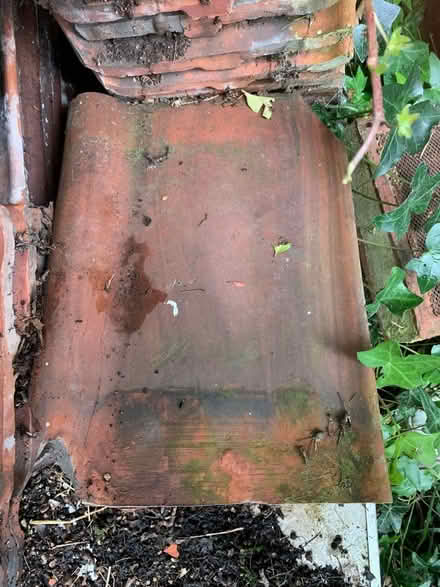 Photo of free Roof Tiles (Newport HU15) #2