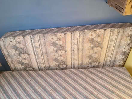 Photo of free Single bed and mattress (Hinckley LE10) #3