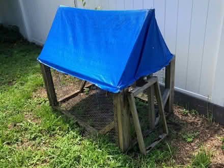 Photo of free Animal Cage (Palm Harbor) #1