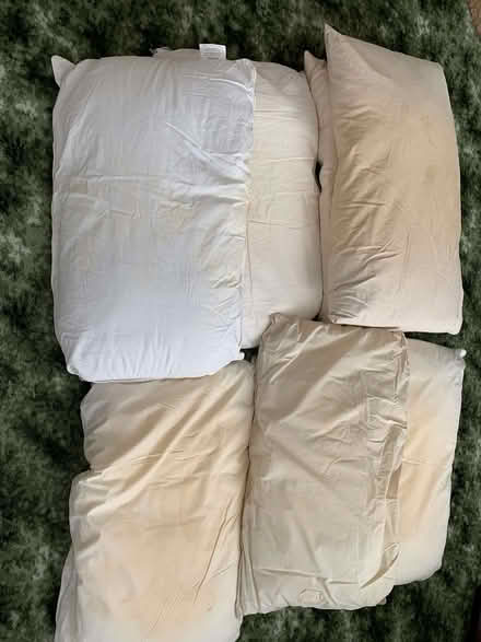 Photo of free Old Pillows (Nast Hyde Farm AL10) #1